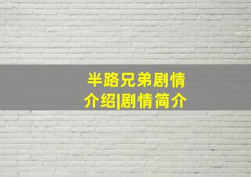 半路兄弟剧情介绍|剧情简介